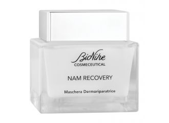 Cosmeceutical nam recovery maschera dermoriparatrice 50 ml